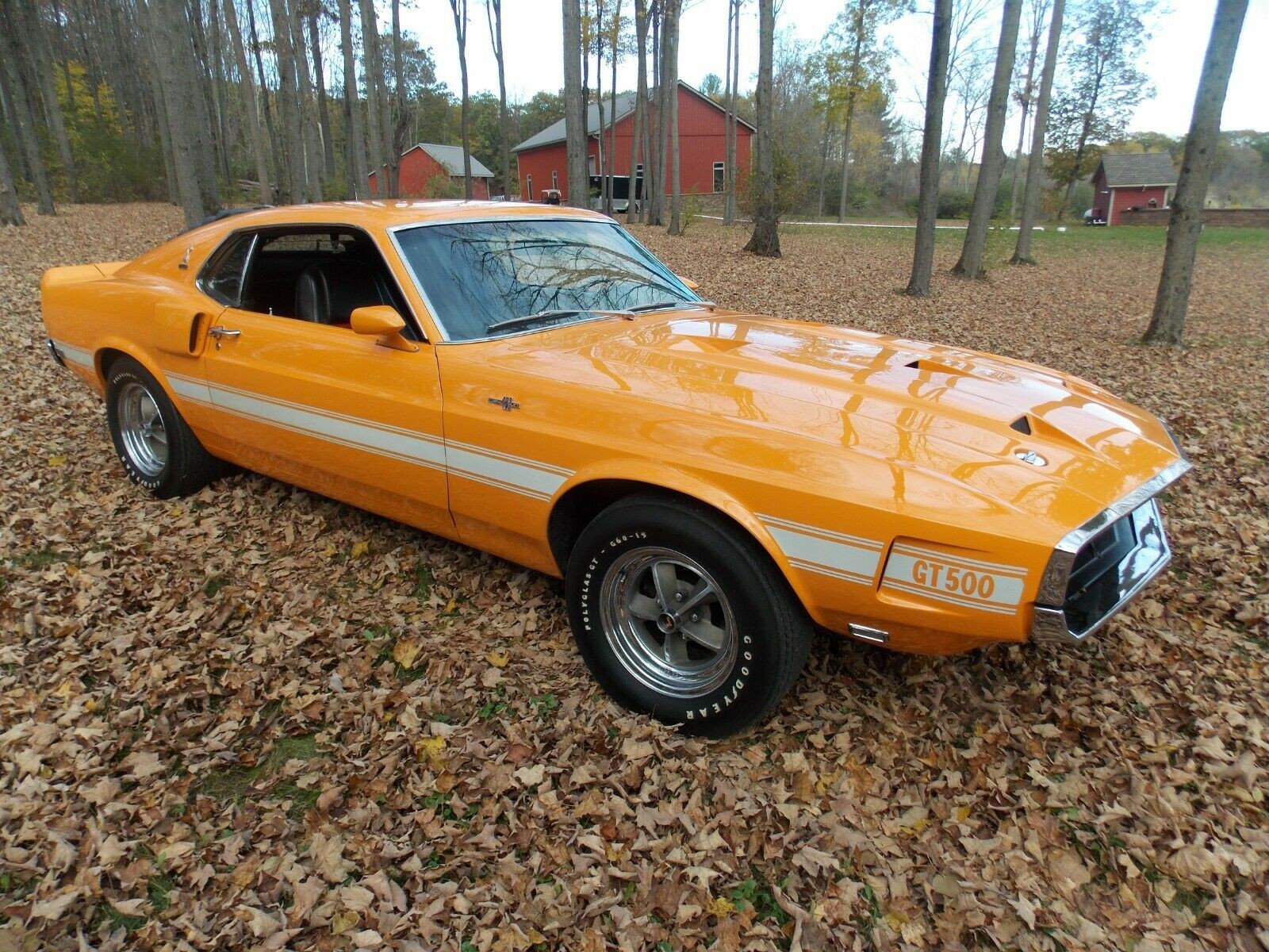 1969 Shelby Cobra Fastback 428 Grabber Orange - Carseva - Find the ...