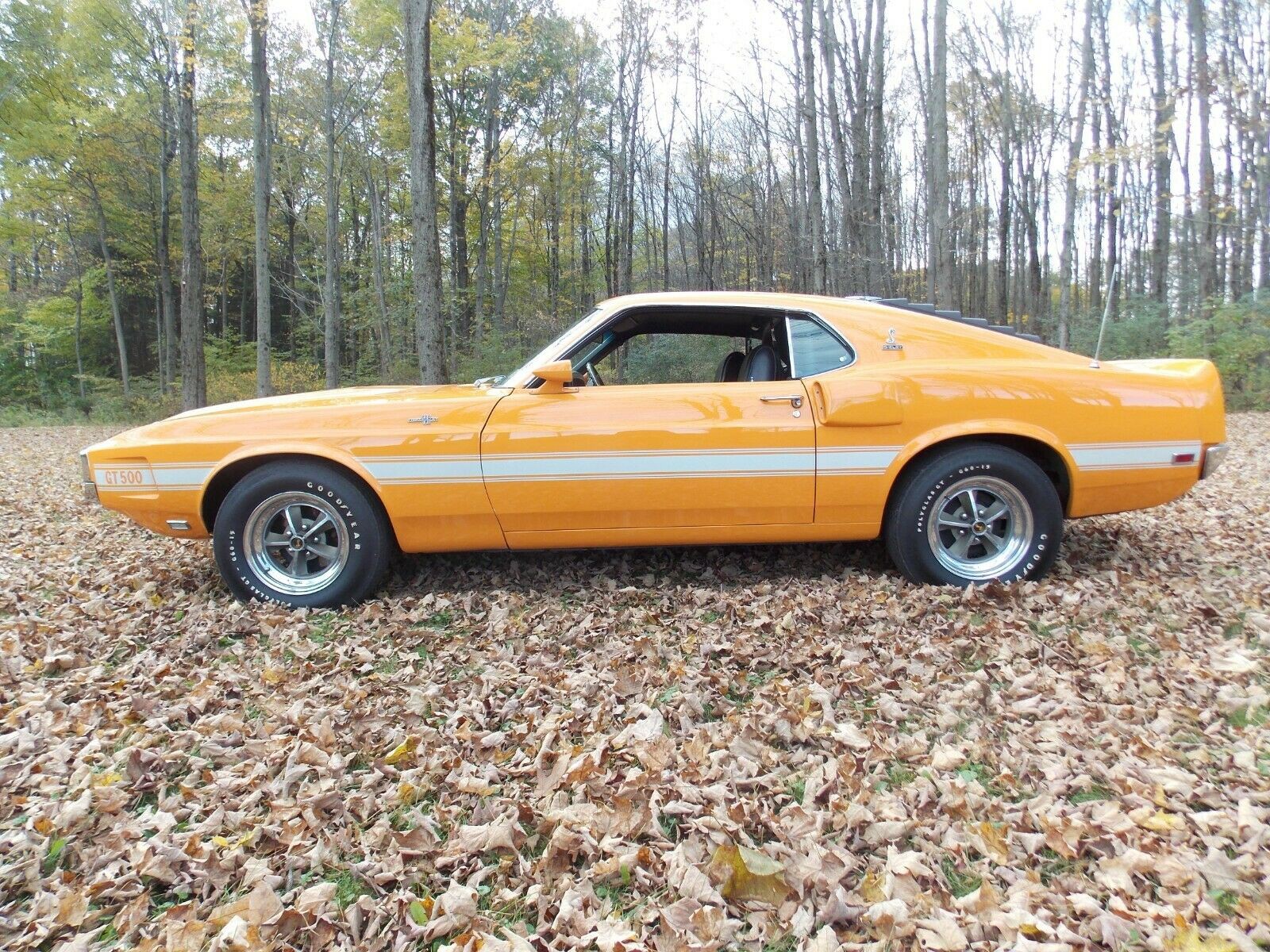 1969 Shelby Cobra Fastback 428 Grabber Orange - Carseva - Find the ...